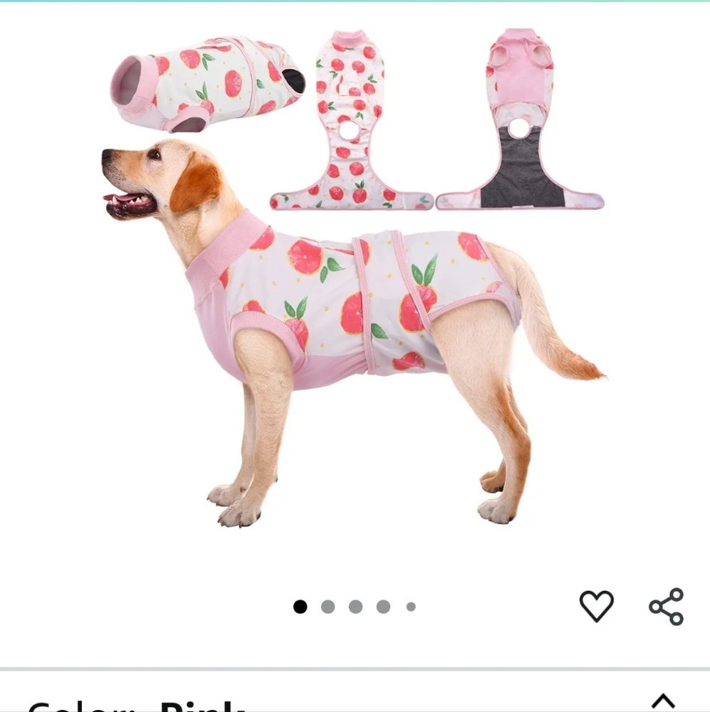 Pink Dog Jacket with Fruit Print